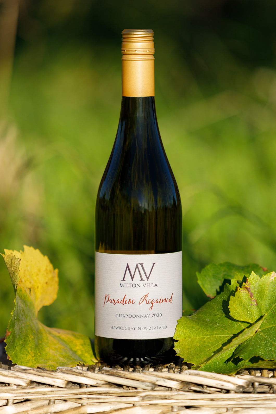 MV Paradise Regained Chardonnay 2020     93/100